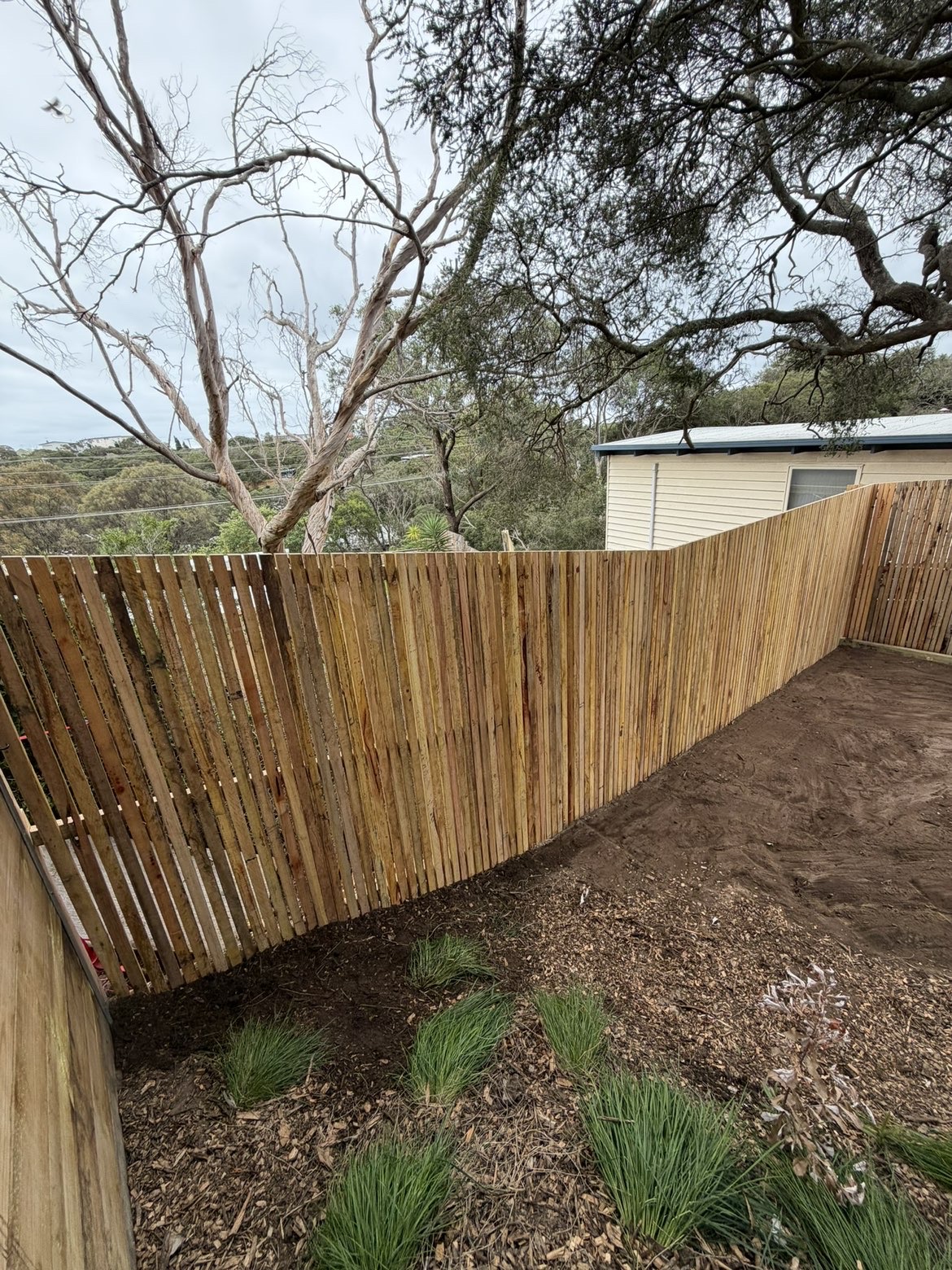 Fencing around established trees